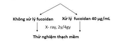 nhạy cảm phóng xạ 01