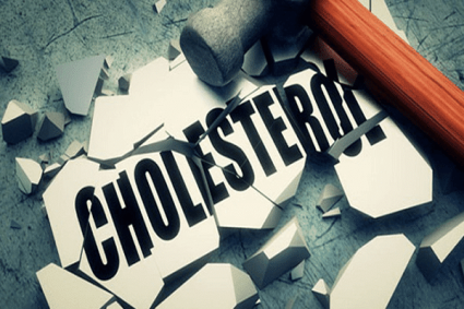 Fucoidan có tác dụng khá hiệu quả khi làm giảm cholesterol trong máu