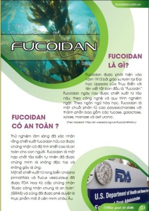 Các nội dung bên trong cẩm nang Fucoidan 1