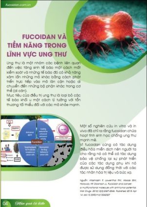 Các nội dung bên trong cẩm nang Fucoidan 2